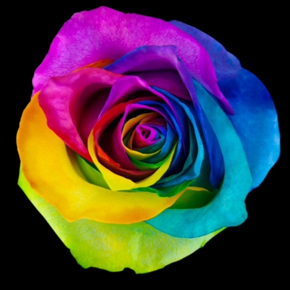 💕💖90K Followers!!! Thank you ALL!!! 💖💕 - Picture 4 of 6